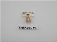 藏品(二斑叉紋苔蛾)的圖片